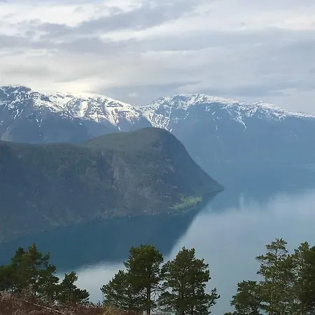 Lyngsete * Fronningan